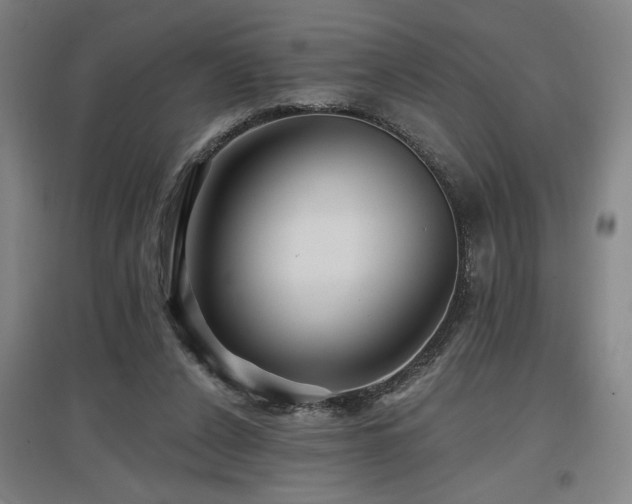 X0000097610256200802291309