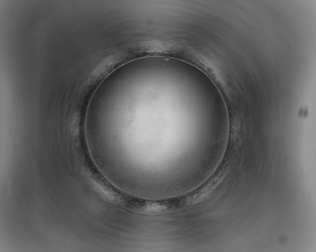 X0000097610257200802291309