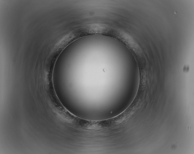 X0000097610258200802291309