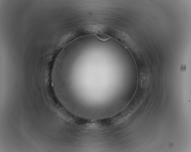 X0000097610259200802291309