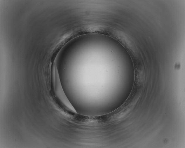 X0000097610260200802291309