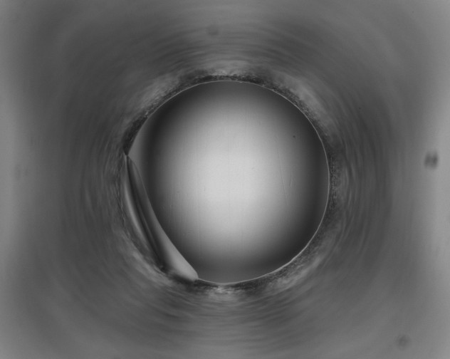 X0000097610261200802291309