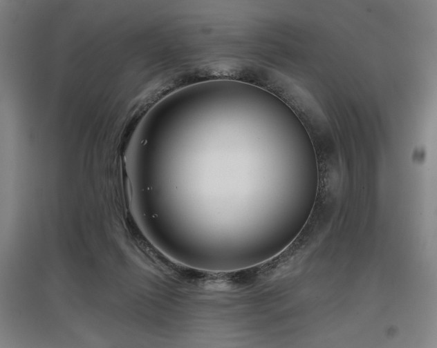 X0000097610262200802291309