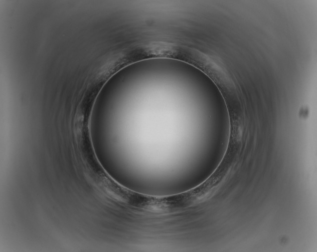 X0000097610263200802291309