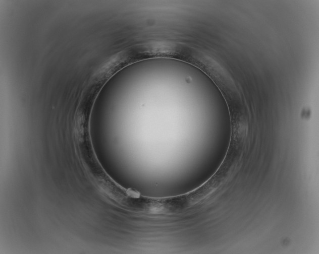 X0000097610264200802291309