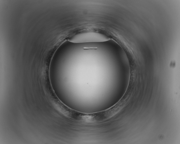 X0000097610265200802291309