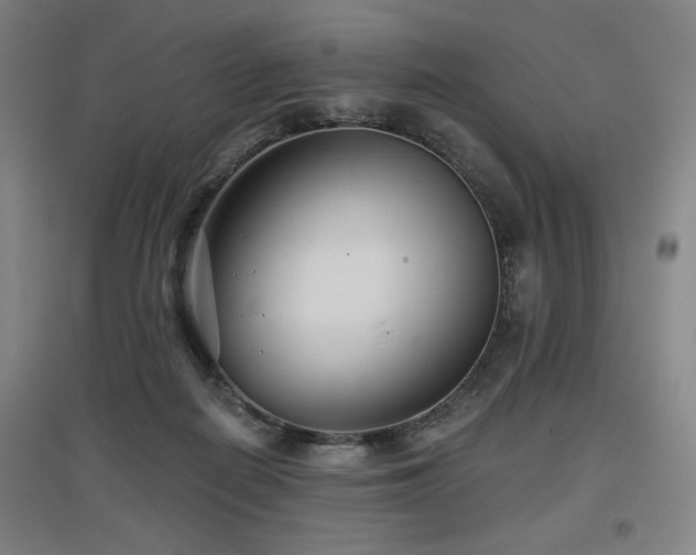 X0000097610266200802291309