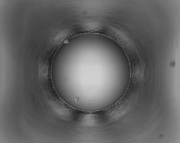 X0000097610268200802291309