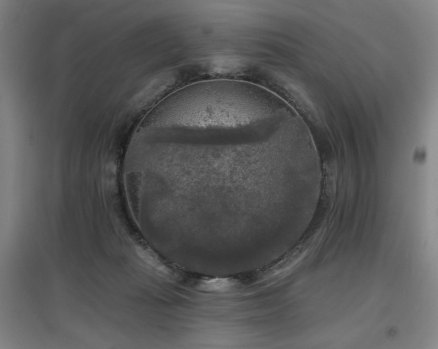 X0000097610269200802291309