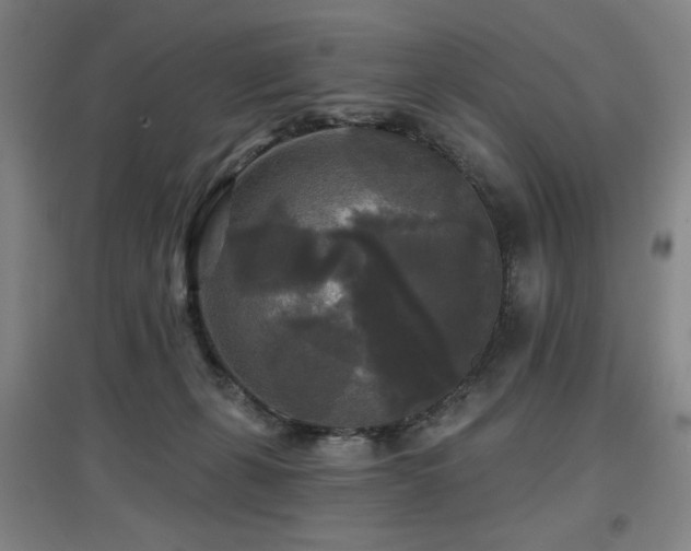 X0000097610271200802291309