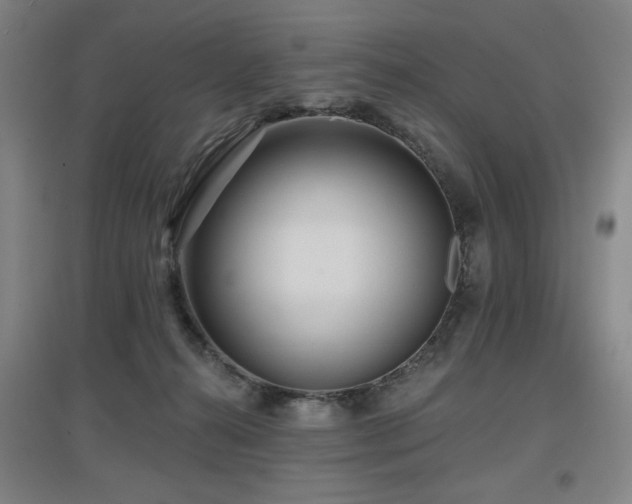 X0000097610272200802291309