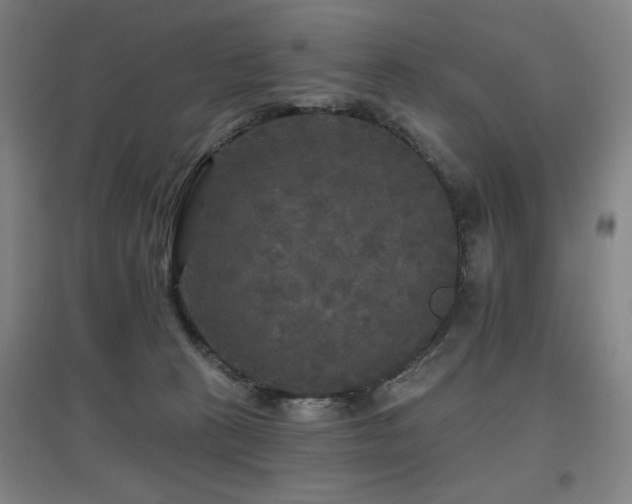 X0000097610273200802291309