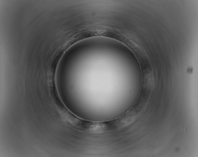 X0000097610274200802291309