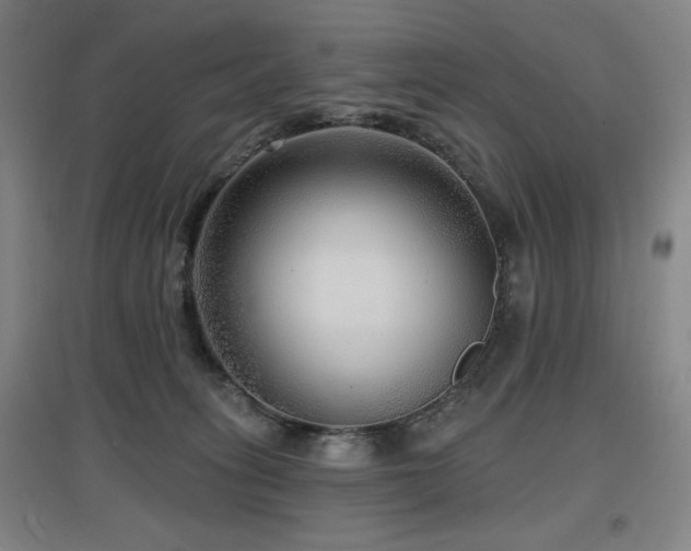 X0000097610275200802291309