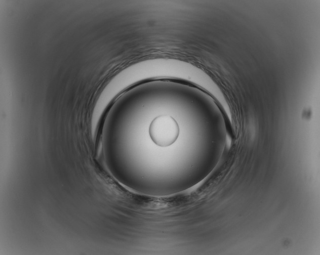 X0000097610276200802291309