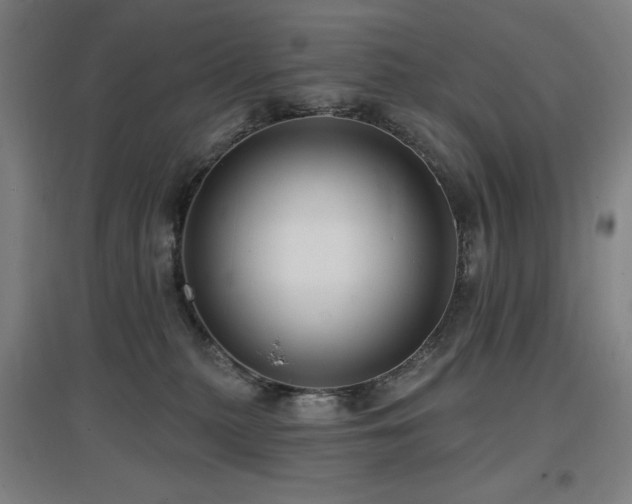 X0000097610279200802291309