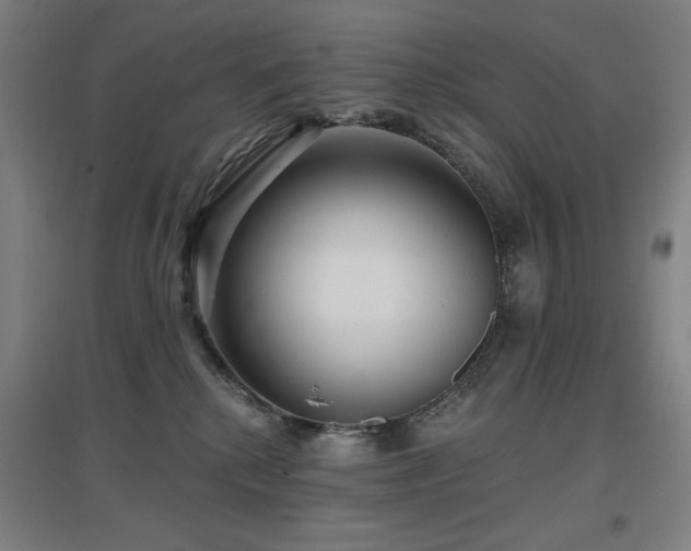 X0000097610280200802291309
