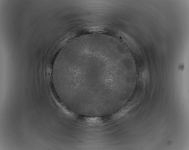 X0000097610281200802291309