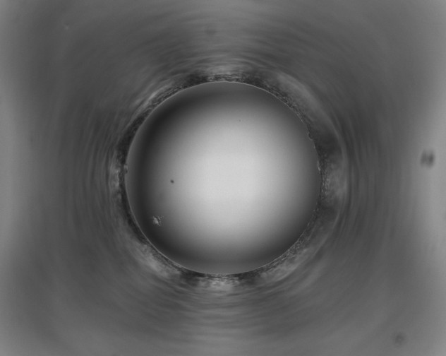 X0000097610282200802291309