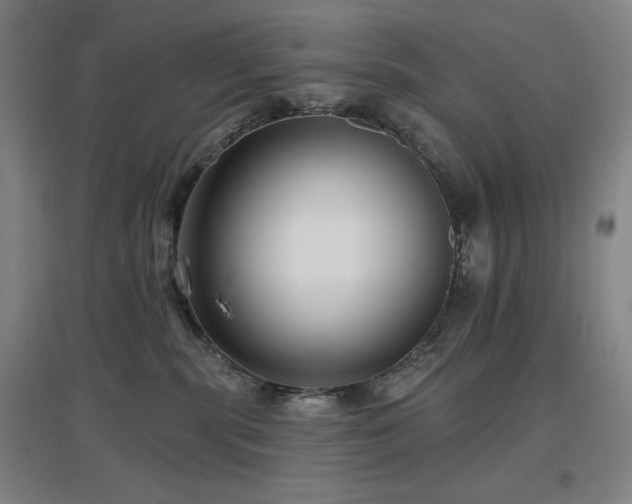 X0000097610283200802291309