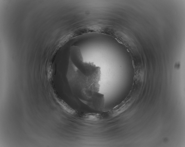 X0000097610285200802291309