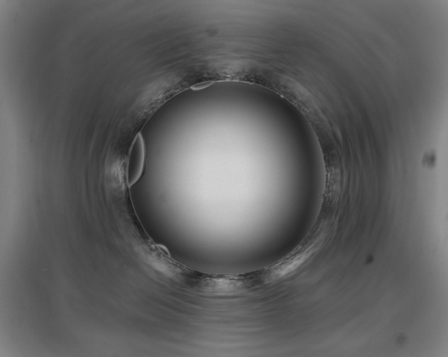 X0000097610286200802291309