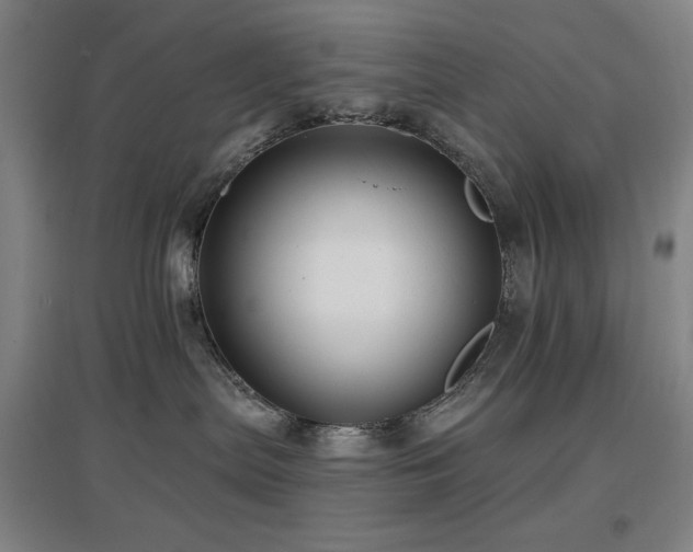 X0000097610287200802291309