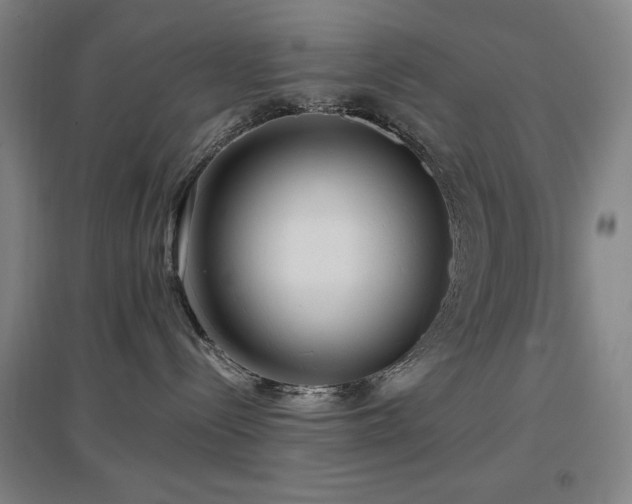 X0000097610288200802291309