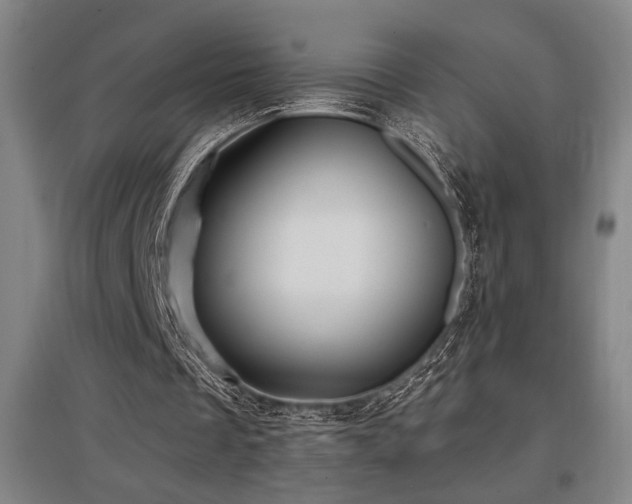 X0000097610289200802291308