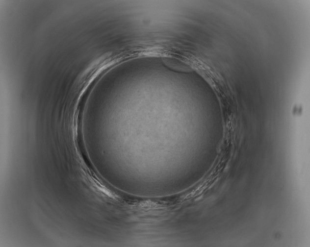 X0000097610290200802291308