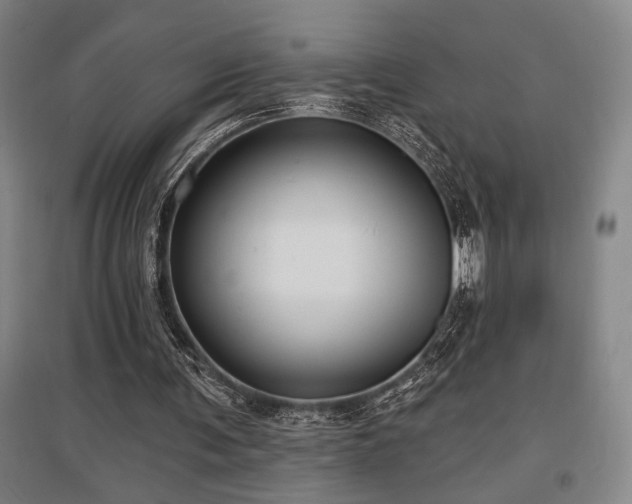 X0000097610291200802291308