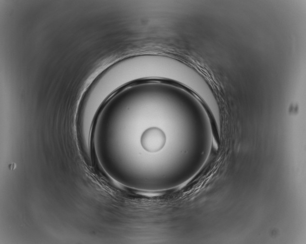 X0000097610292200802291308