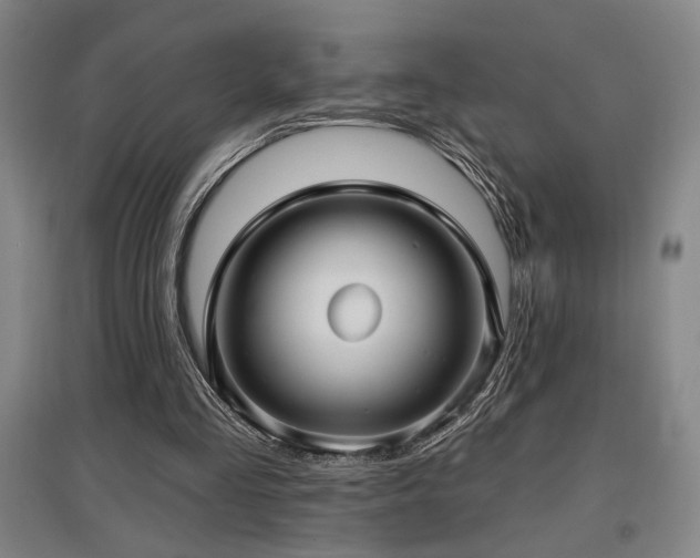 X0000097610293200802291308