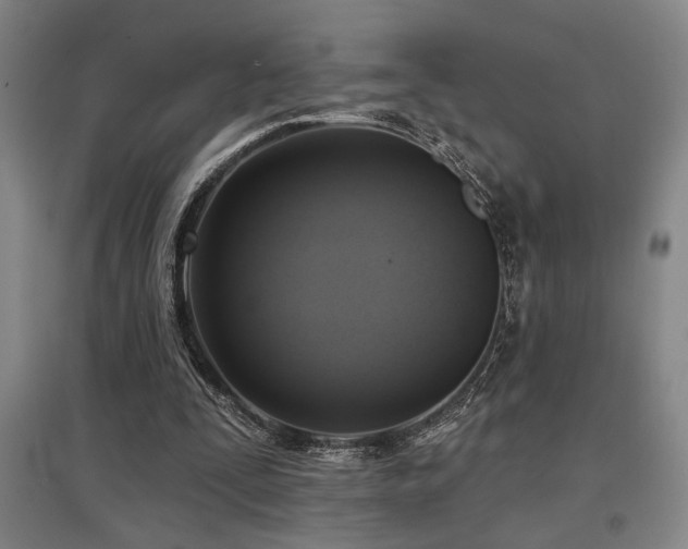 X0000097610295200802291308