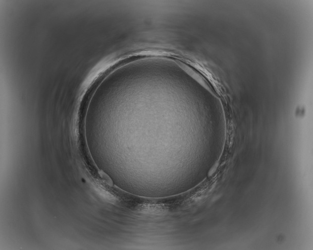 X0000097610296200802291308