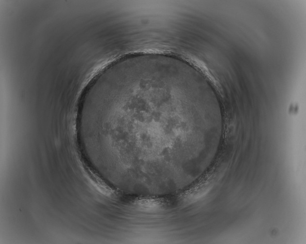 X0000097610299200802291308