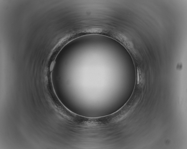 X0000097610300200802291308