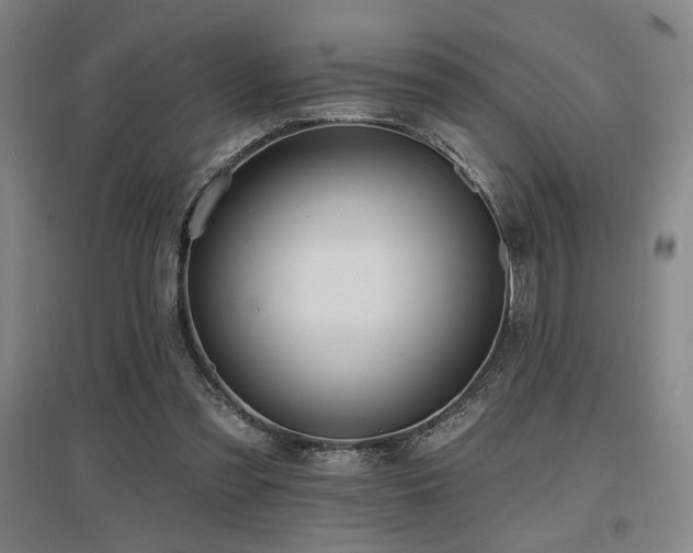 X0000097610301200802291308
