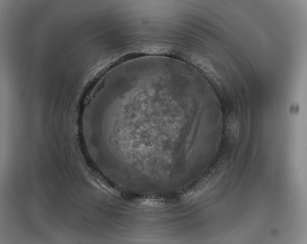 X0000097610303200802291308