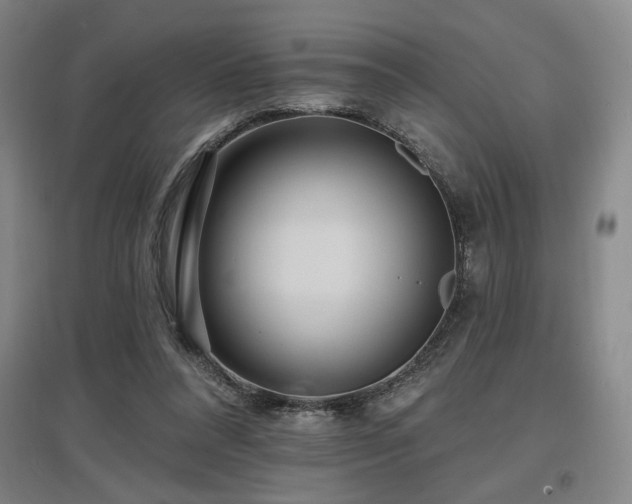X0000097610304200802291308