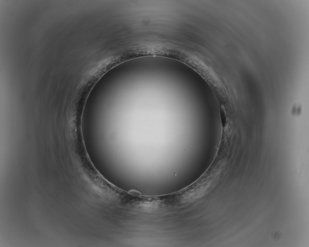 X0000097610306200802291308