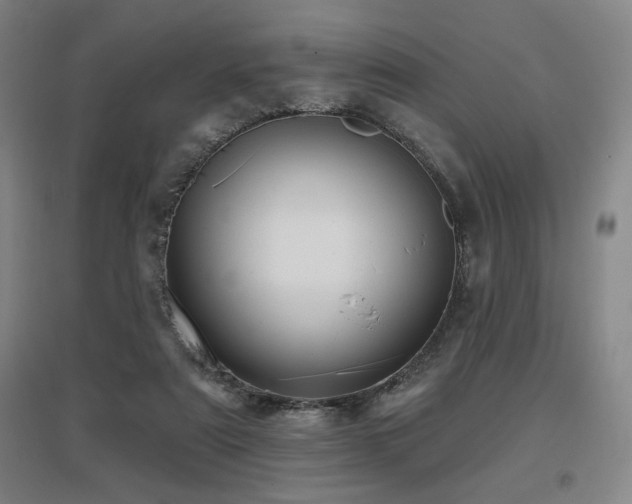X0000097610307200802291308