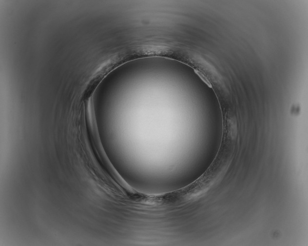X0000097610308200802291308