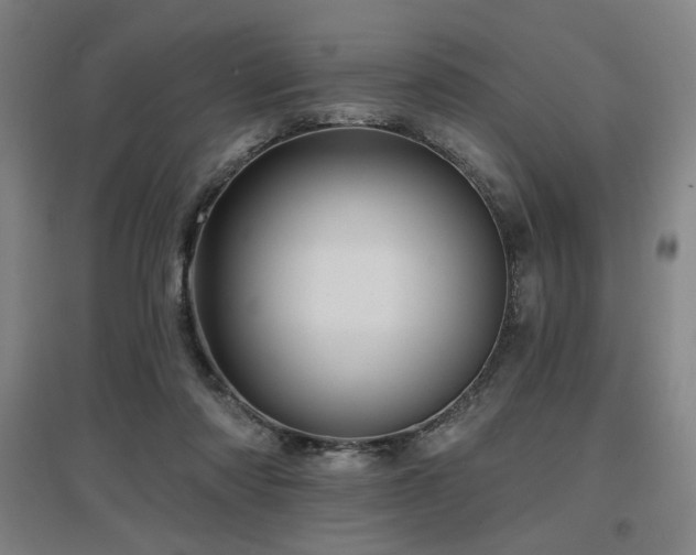 X0000097610310200802291308