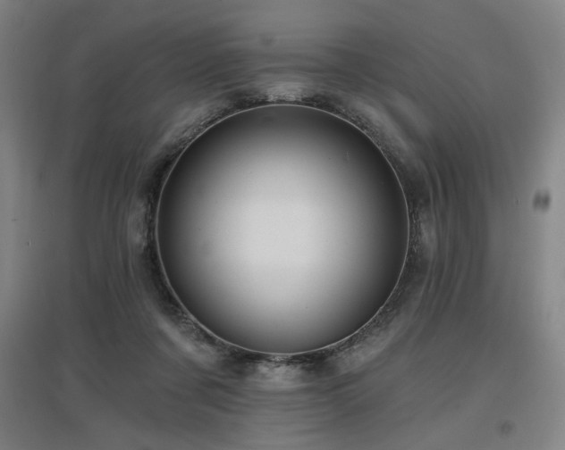 X0000097610311200802291308