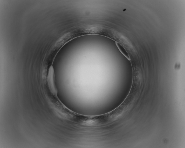 X0000097610312200802291308