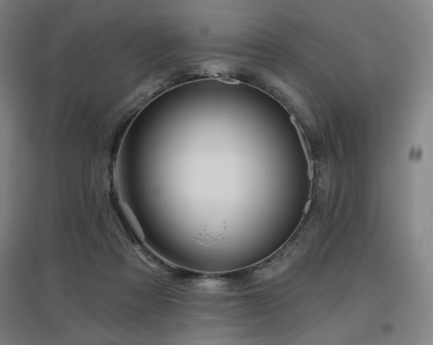 X0000097610313200802291308