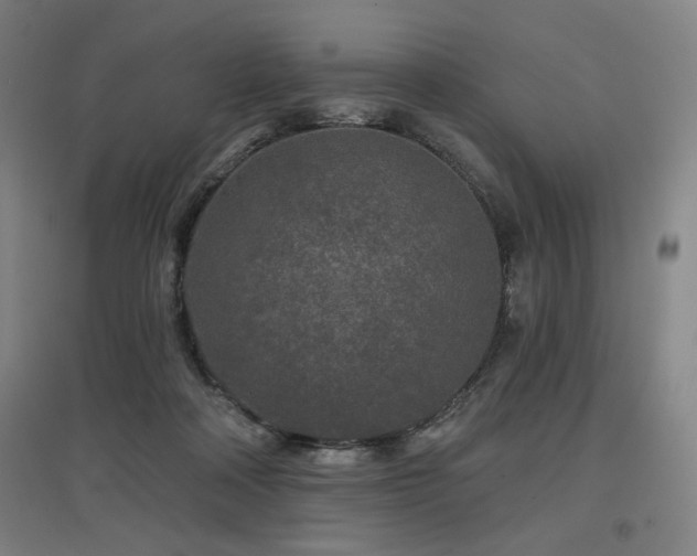 X0000097610314200802291308
