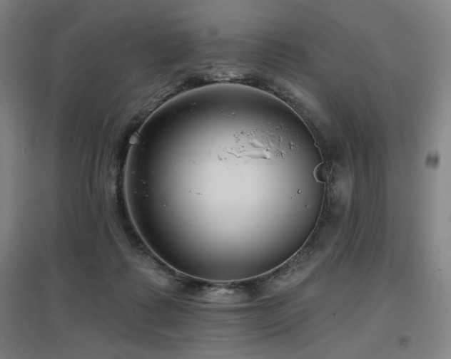 X0000097610315200802291308