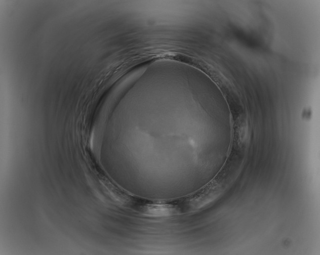 X0000097610316200802291308